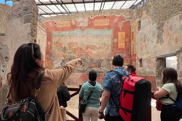 Pompeii Guided Premium Tour From Naples