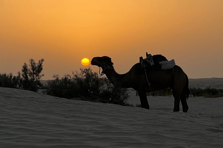 Spend a Night in the Desert with Sahara Nomads