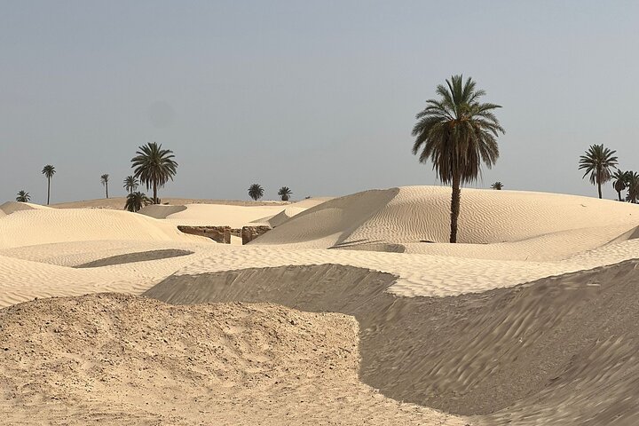 Spend a Night in the Desert with Sahara Nomads