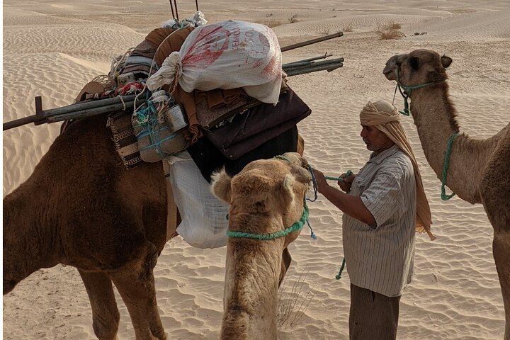 Spend a Night in the Desert with Sahara Nomads