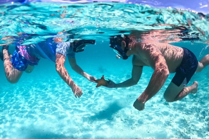 Nassau: 3 islands Pigs,Turtles,Snorkel & Beach Club with lunch