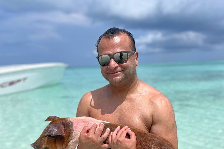 Nassau: 3 islands Pigs,Turtles,Snorkel & Beach Club with lunch