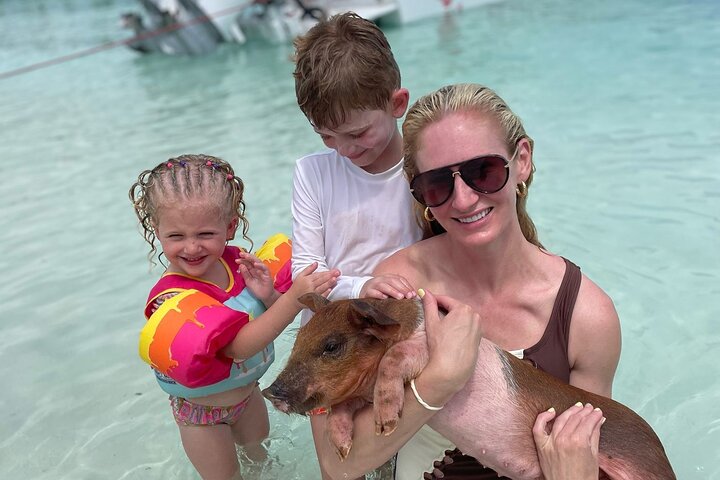 Nassau: 3 islands Pigs,Turtles,Snorkel & Beach Club with lunch