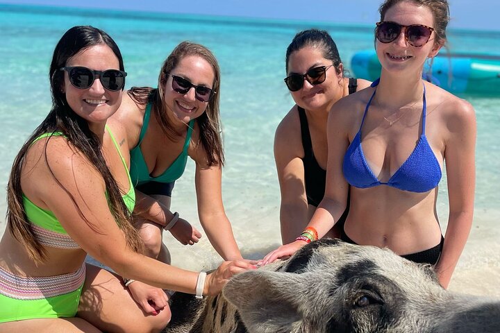 Nassau: 3 islands Pigs,Turtles,Snorkel & Beach Club with lunch