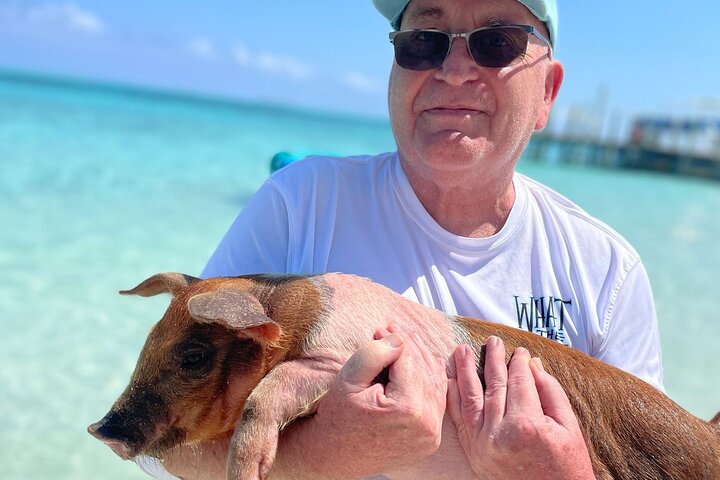 Nassau: 3 islands Pigs,Turtles,Snorkel & Beach Club with lunch