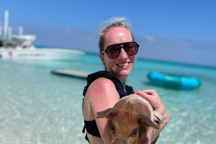 Nassau: 3 islands Pigs,Turtles,Snorkel & Beach Club with lunch