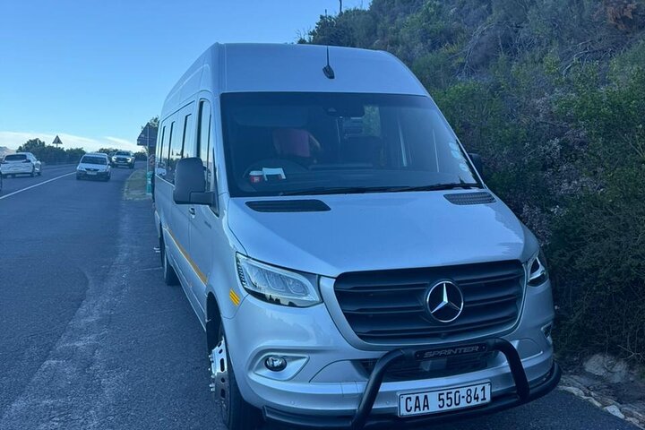 Table Mountain, Penguins & Cape Point Group Tour from Cape Town