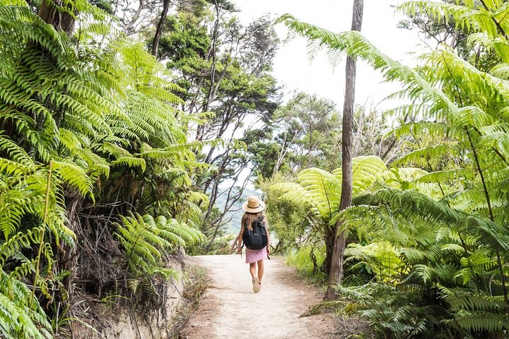 Full-Day Abel Tasman National Park Hiking Tour with Cruise