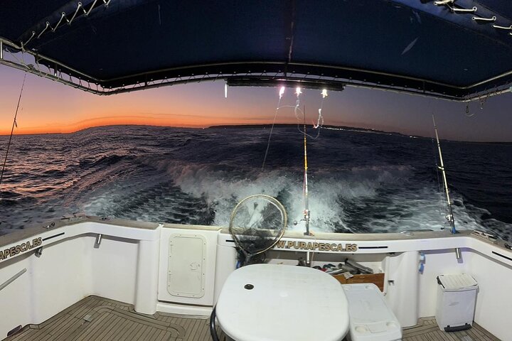 Fishing in the Strait of Gibraltar