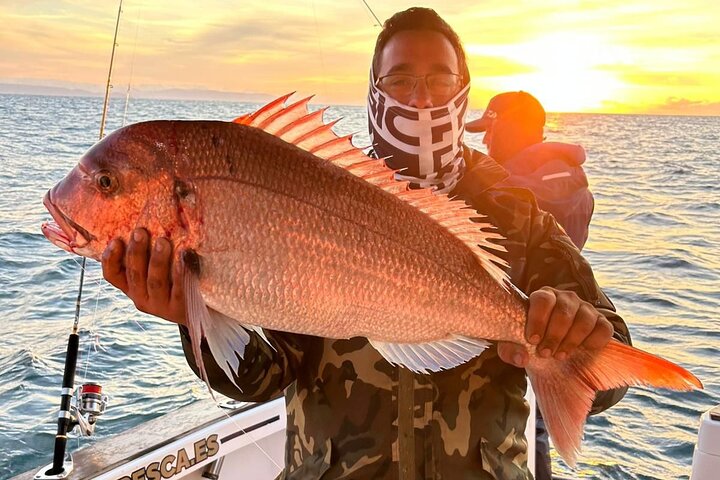 Fishing in the Strait of Gibraltar