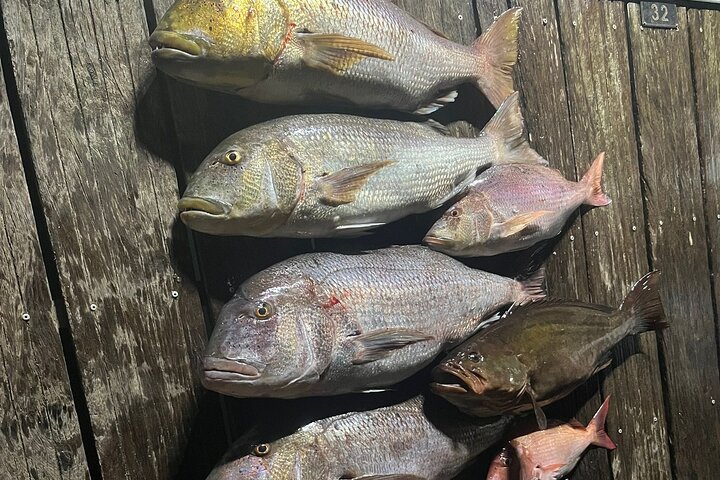Fishing in the Strait of Gibraltar