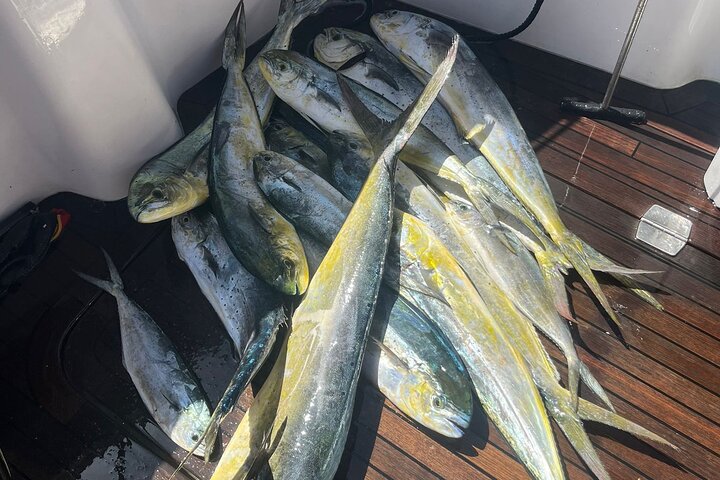 Fishing in the Strait of Gibraltar
