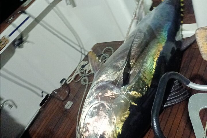 Fishing in the Strait of Gibraltar