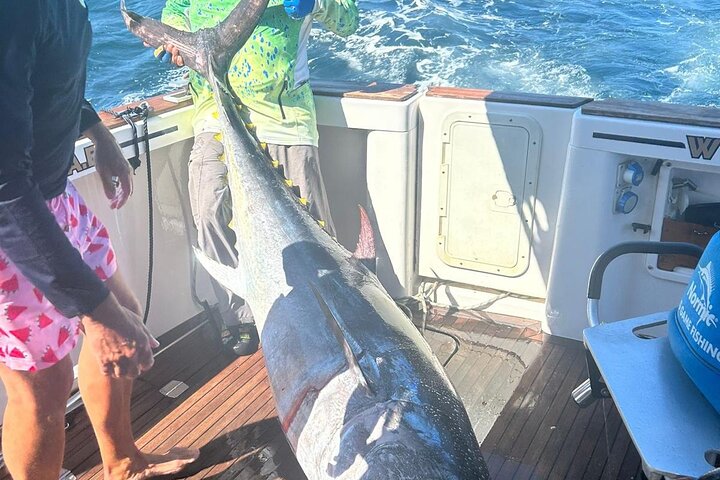 Fishing in the Strait of Gibraltar