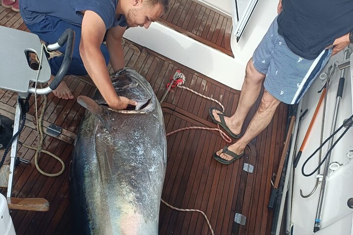 Fishing in the Strait of Gibraltar