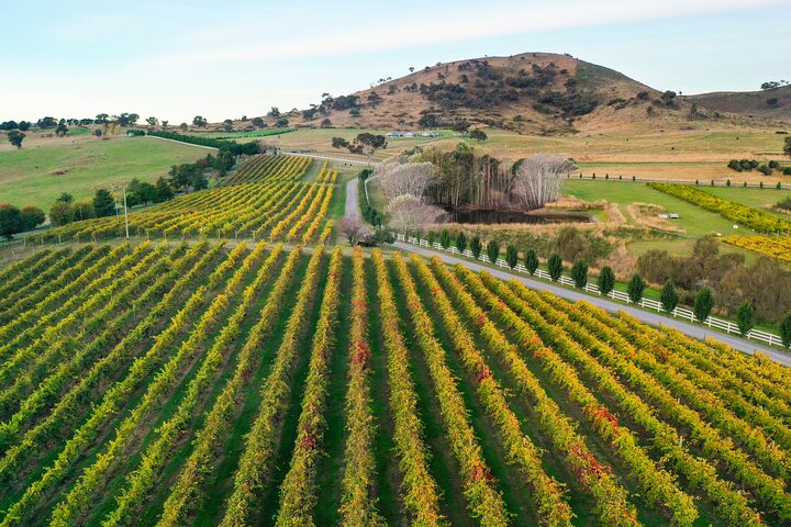 Private Canberra Winery Tour with lunch