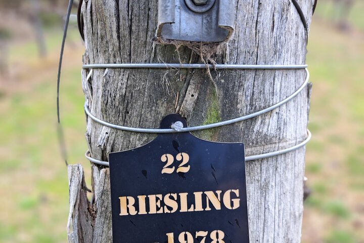 Private Canberra Winery Tour with lunch