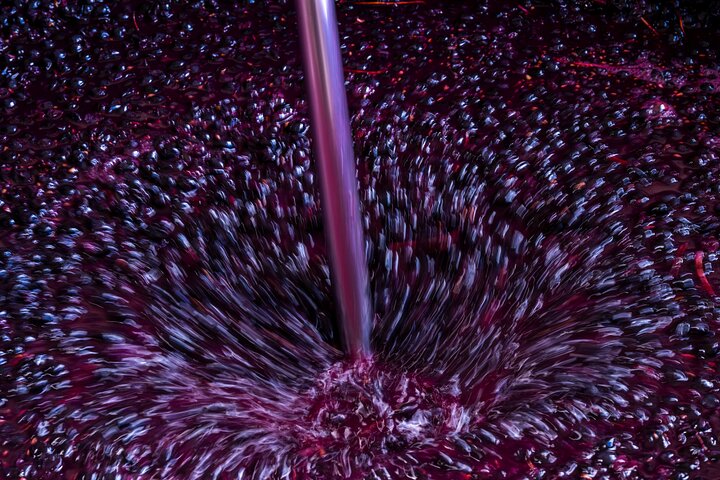 Private Canberra Winery Tour with lunch