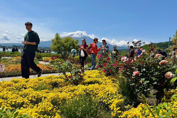 Tokyo: Customized Mt. Fuji & Hakone Sightseeing Private Day Trip