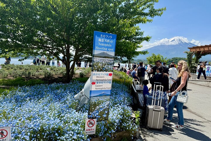 Tokyo: Customized Mt. Fuji & Hakone Sightseeing Private Day Trip
