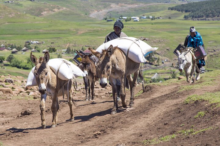 Sani Pass and Lesotho Day Tour from Underberg