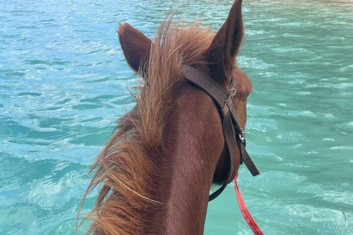 Horse Riding in Port Vila with Yumi Tours