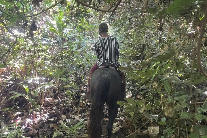 Horse Riding in Port Vila with Yumi Tours