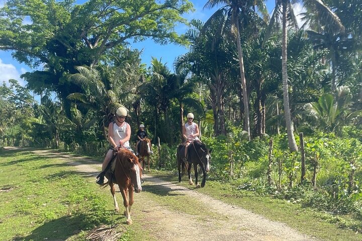Horse Riding in Port Vila with Yumi Tours