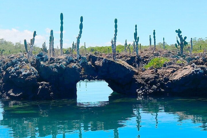8 Day Galapagos Island Hopping For Divers