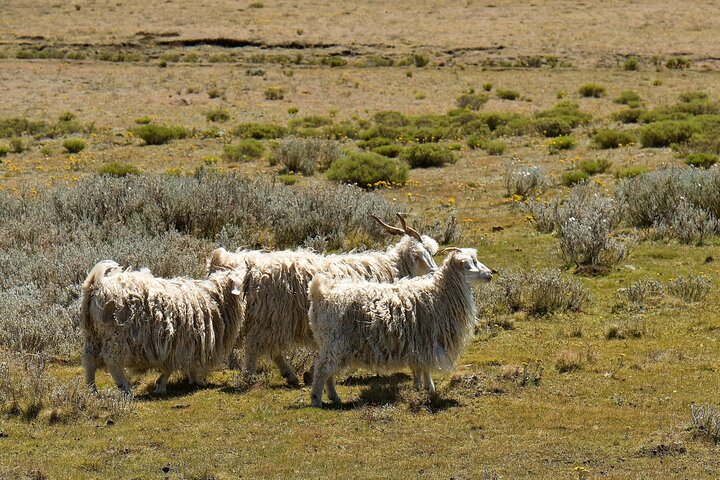 Lesotho Bicycle Day Tour