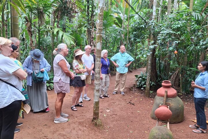 Discover Goa: A Full-Day Private City Tour