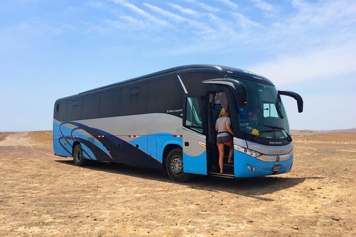 Day Tour From Lima: Paracas, Huacachina, Pisco Vineyard & Sunset