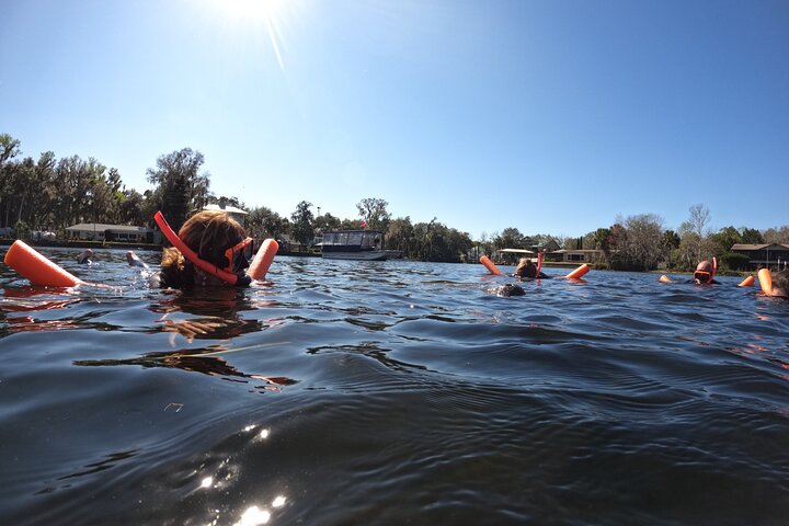 Classic Crystal River Manatee Swim Tour with Free Photos