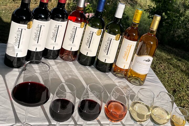 Wine Tasting at Chateau Lestevenie