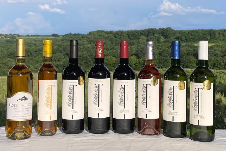 Wine Tasting at Chateau Lestevenie
