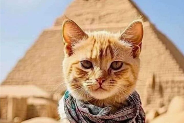 All Inclusive Tour to Giza Pyramids Sakkara from Alexandria Port