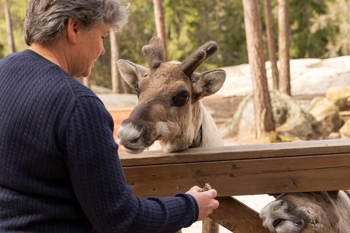 Northern Elegance: Private Reindeer Safari & Fireside Picnic*****
