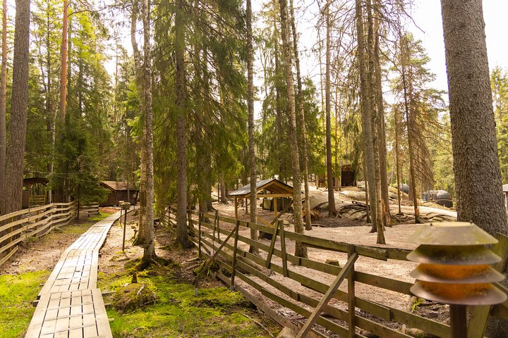 Northern Elegance: Private Reindeer Safari & Fireside Picnic*****