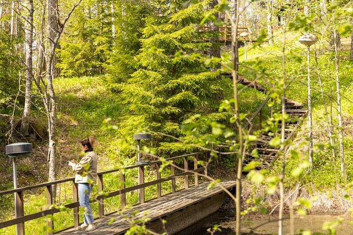 Northern Elegance: Private Reindeer Safari & Fireside Picnic*****