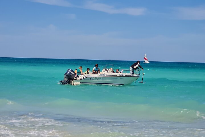 1h30 Sea Trip with Swimming and Dolphin Watching