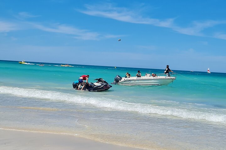 1h30 Sea Trip with Swimming and Dolphin Watching