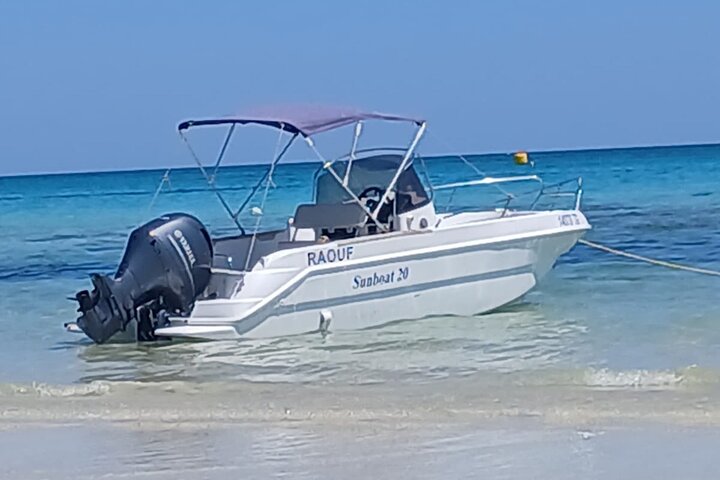 1h30 Sea Trip with Swimming and Dolphin Watching