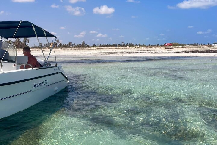 1h30 Sea Trip with Swimming and Dolphin Watching