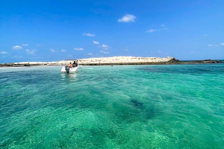 1h30 Sea Trip with Swimming and Dolphin Watching