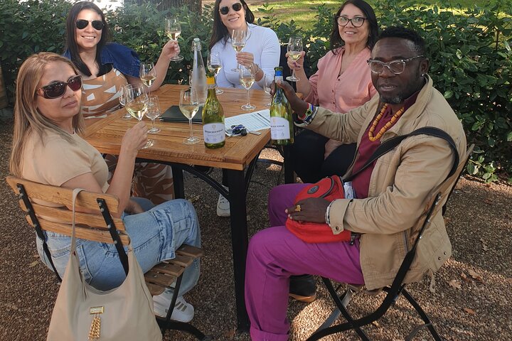 Stellenbosch, Franschhoek, Paarl 15 Wine Tasting Private Tour