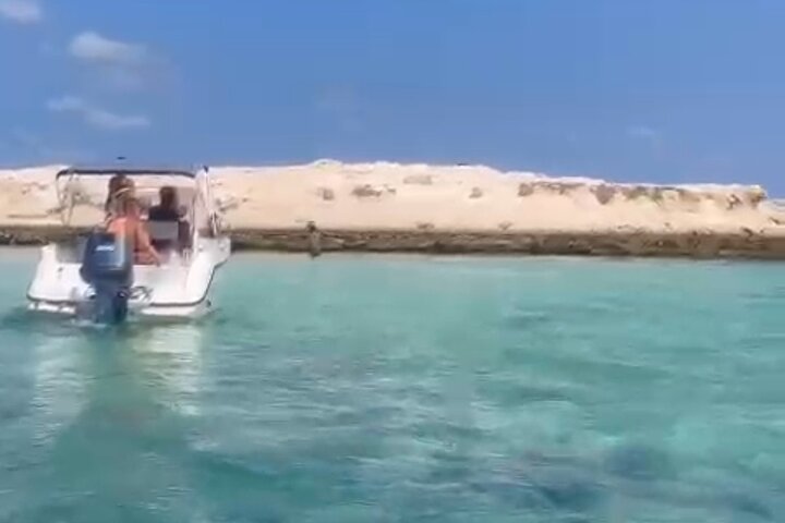 1h30 Sea Trip with Swimming and Dolphin Watching
