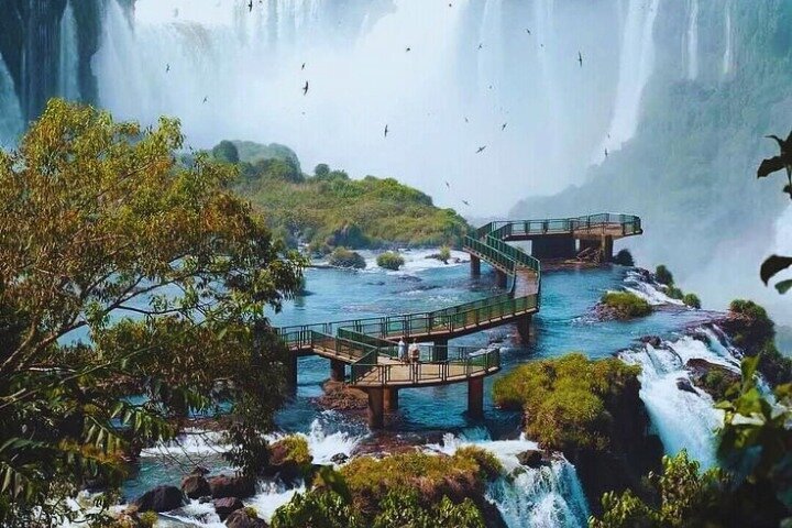 Under the Iguazu Falls live the Great Adventure + Train & Safari