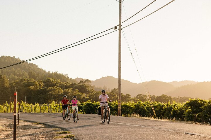 Half Day Guided Electric Bike Wine Tasting Tour with Lunch