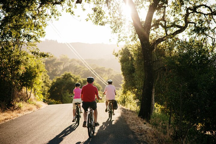 Half Day Guided Electric Bike Wine Tasting Tour with Lunch