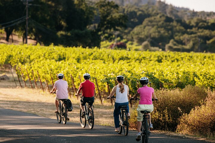 Half Day Guided Electric Bike Wine Tasting Tour with Lunch